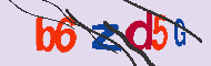 Captcha認証コード